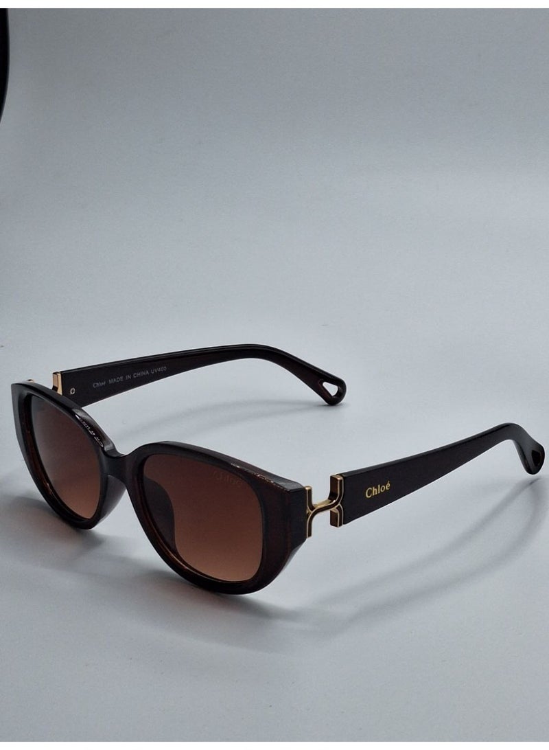 Chloé Women’s Square Sunglasses with Brown Lenses – Dark Brown Frame